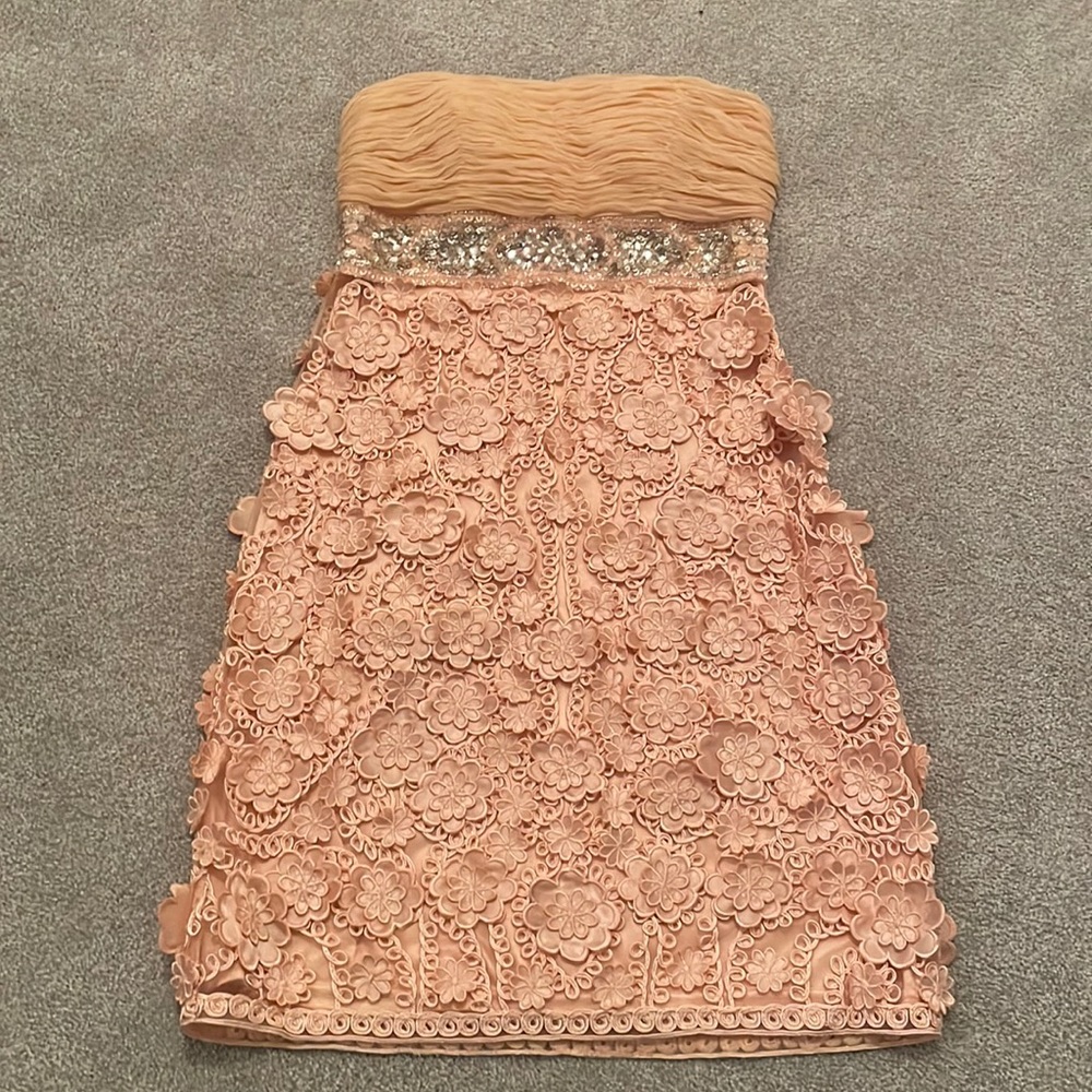 Sue Wong Nocturne Strapless Pink Ruching Bodice Dress with Beading